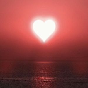 Meet your Posher, Missy